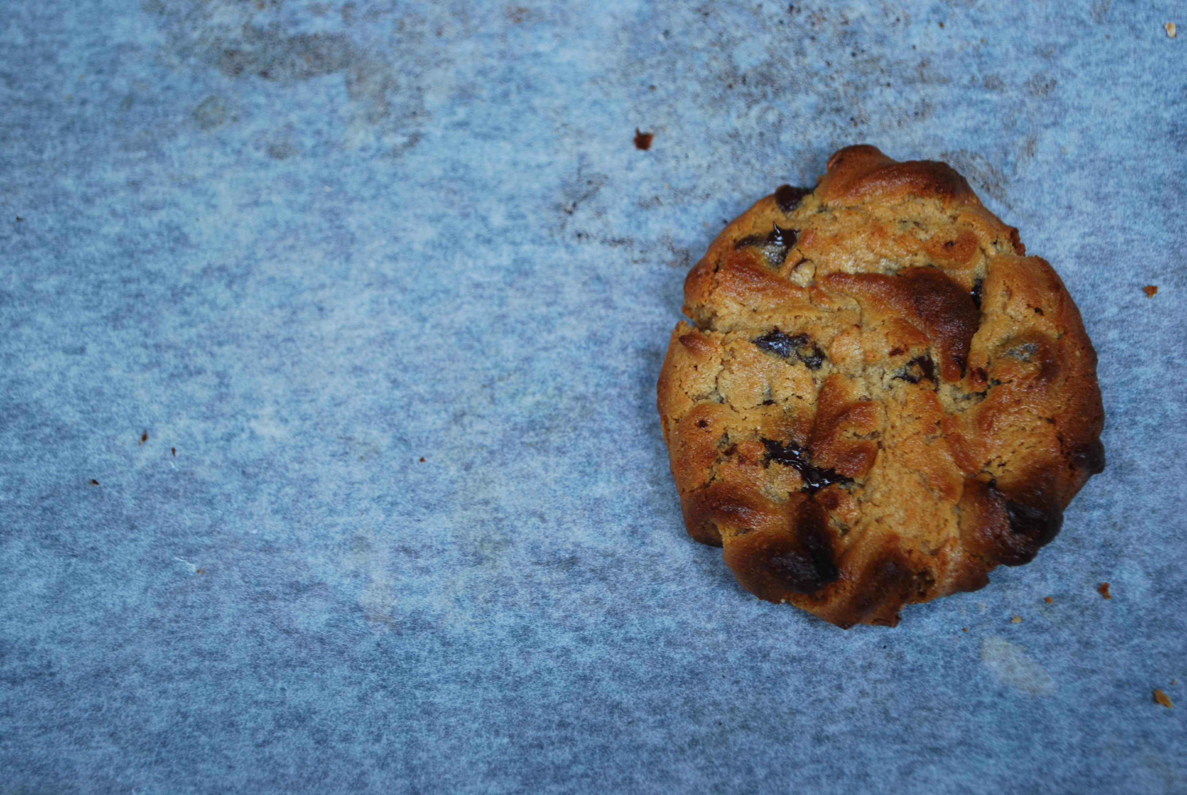 Peanut Butter Cookie