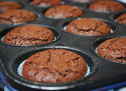 Chocolate Cupcakes